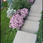 아파트 Bacevine *