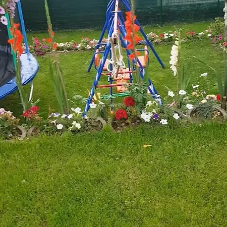 Bacevine سراييفو